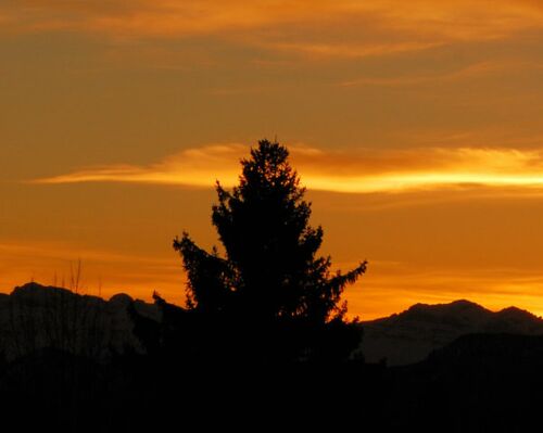 Arve in der Abenddämmerung